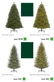 Intratuin folder | Kerst Pagina 27