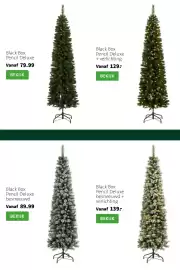 Intratuin folder | Kerst Pagina 29