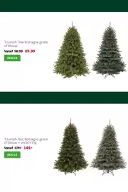 Intratuin folder | Kerst Pagina 3: Triumph Tree Romagne €89,99, Triumph Tree Romagne €149,00