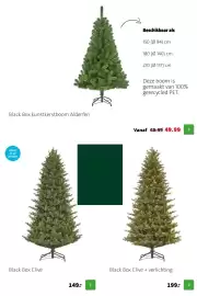 Intratuin folder | Kerst Pagina 30