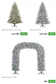 Intratuin folder | Kerst Pagina 31: Black Box Arch Frosted €449,00