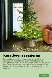 Intratuin folder | Kerst Pagina 32