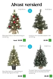 Intratuin folder | Kerst Pagina 33