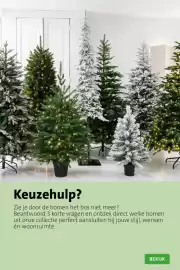 Intratuin folder | Kerst Pagina 35