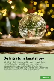 Intratuin folder | Kerst Pagina 36