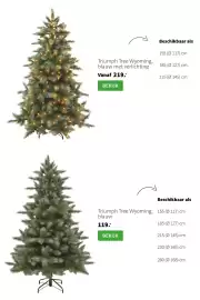 Intratuin folder | Kerst Pagina 5: Triumph Tree Wyoming, blauw €119,00, Triumph Tree Wyoming €219,00