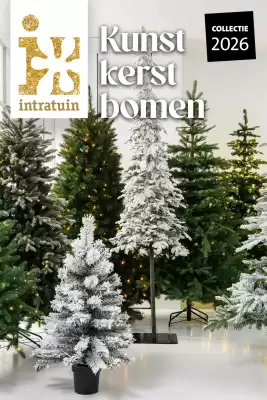 Intratuin | Kerst (geldig t/m 24-12)
