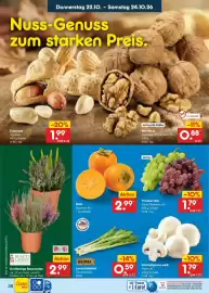 Netto Marken-Discount DE folder week 43 Pagina 48: Kaki €2,99, Heimat Lauchzwiebeln €0,59