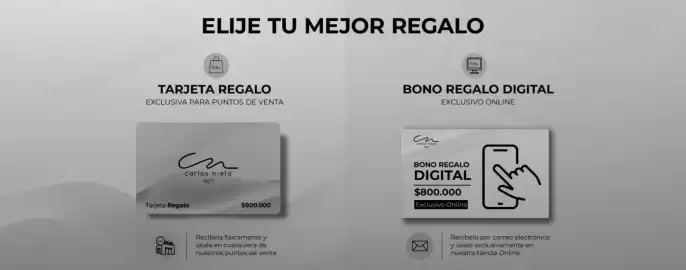 Catálogo Carlos Nieto Página 1