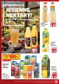 Kaufland gazetka tydzień 42 Strona 48: Nektary Hortex, Tymbark Nektar bananowy €4,99