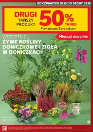 Kaufland gazetka tydzień 42 Strona 7: Wszystkie żywe rośliny doniczkowe i zioła w doniczkach