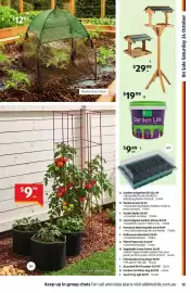 ALDI catalogue week 43 Page 13