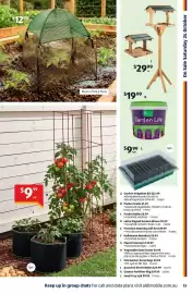 ALDI catalogue week 43 Page 13