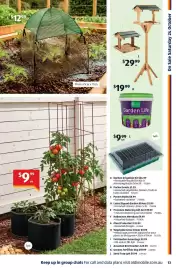 ALDI catalogue week 43 Page 13