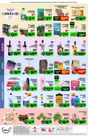 Catálogo Supermercado Cubatao Página 4: Água sanitária ype €15,98, Vassoura phenix santa maria €16,90