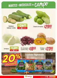 Folleto Soriana Híper Página 3: Calabaza italiana / criolla €26,80, Chayote sin espinas €29,80