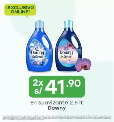 Catálogo Tottus (válido hasta 14-10)