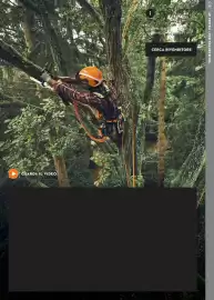 Volantino Stihl Pagina 13