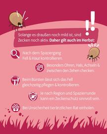 Das Futterhaus Prospekt woche 42 Seite 2