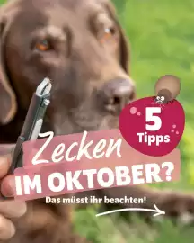 Das Futterhaus Prospekt woche 42 Seite 1