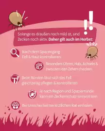 Das Futterhaus Prospekt woche 42 Seite 2