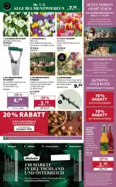 Dehner Flugblatt woche 42 Seite 16