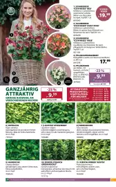 Dehner Flugblatt woche 42 Seite 5: Dehner PREMIUM QUALITÄT 1 ST 5 LEICHT FANDGEMACHY GANZJÄHRIG ATTRAKTIV GROSSE AUSWAHL AN