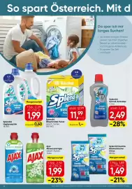 Spar Flugblatt woche 42 Seite 12: Splendid Schnell-Entkalker €2,49, Splendid Waschmittel Pulver €11,99