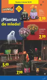 Catálogo Lidl semana 42 Página 33