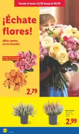 Catálogo Lidl semana 42 Página 54