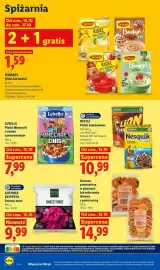 Lidl gazetka tydzień 42 Strona 104