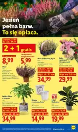 Lidl gazetka tydzień 42 Strona 107