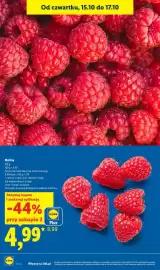 Lidl gazetka tydzień 42 Strona 12