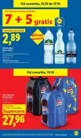 Lidl gazetka tydzień 42 Strona 19