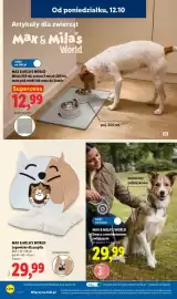 Lidl gazetka tydzień 42 Strona 26