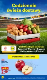 Lidl gazetka tydzień 42 Strona 46