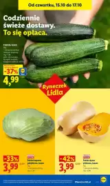 Lidl gazetka tydzień 42 Strona 49