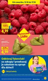 Lidl gazetka tydzień 42 Strona 51