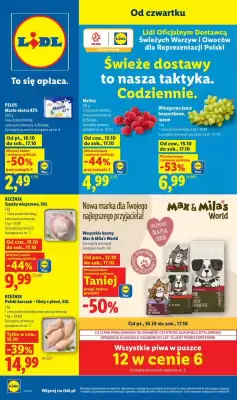 Lidl (ważność do 21-10)