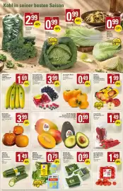 WEZ Prospekt woche 43 Seite 4: EDEKA Regional Deutscher Mini Romanasalat €0,49, EDEKA Bio Ecuador WWF Bananen €1,69