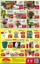 Zimmermann Prospekt woche 43 Seite 16: Jumbo Laubsack €4,99, Grabkerzen €0,89
