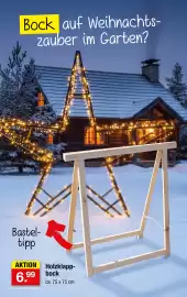Zimmermann Prospekt woche 43 Seite 3: Bock auf Weihnachts- zauber im Garten? Bastel- tipp AKTION 6.99