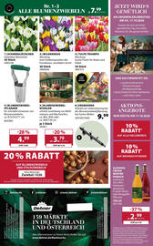 Dehner Prospekt woche 42 Seite 16: Erdbohrer €9,99, Blumenzwiebelpflanzer €4,99