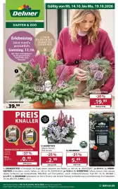 Dehner Prospekt woche 42 Seite 1: Herbstmix €2,99, Rebengesteck €19,99