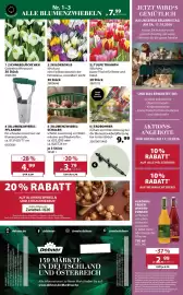 Dehner Prospekt woche 42 Seite 16: Erdbohrer €9,99, Blumenzwiebelpflanzer €4,99