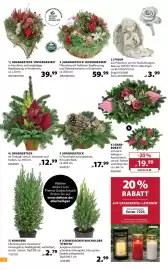 Dehner Prospekt woche 42 Seite 2: Figur €3,99, Konifere €2,79