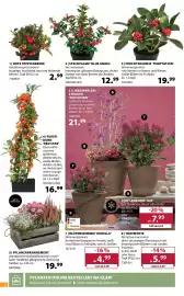 Dehner Prospekt woche 42 Seite 4: Pflanztopf 'rio' €7,99, Torfmyrte €5,99