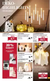 Dehner Prospekt woche 42 Seite 9: Eimer 'geist' €4,99, Led-kürbis €8,99