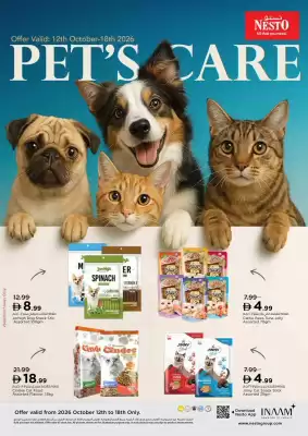 Nesto catalogue