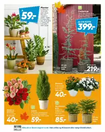 Bilka tilbudsavis uge 42 Side 37: Blomster €40,00, Nordmannsgran €85,00